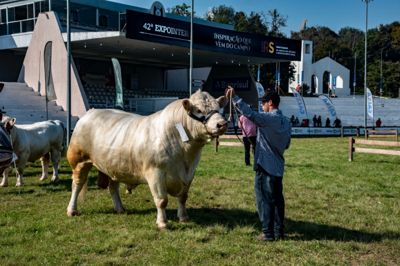 Expointer 2021 recebe 2.820 inscrições de animais de argola no RS