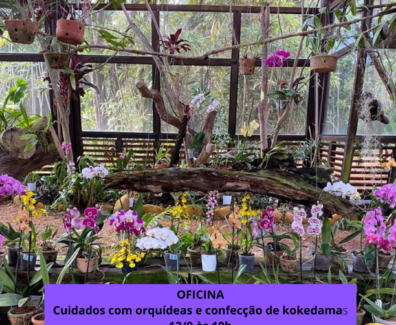 Oficina gratuita de cuidados com orquídeas e confecção de kokedamas