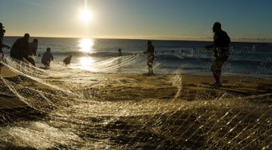 renda aos pescadores do brasil