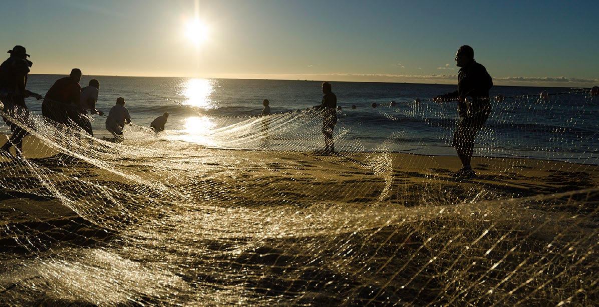 Falta de dados coloca em risco o meio ambiente e renda de pescadores no Brasil