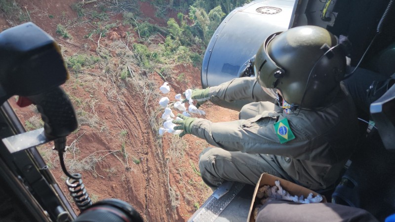 Cinco milhões de sementes são lançadas de helicóptero em ação de revegetação de encostas no Vale do Taquari