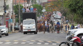 Mais de 50 carros de boi participaram do desfile em Monte Belo MG