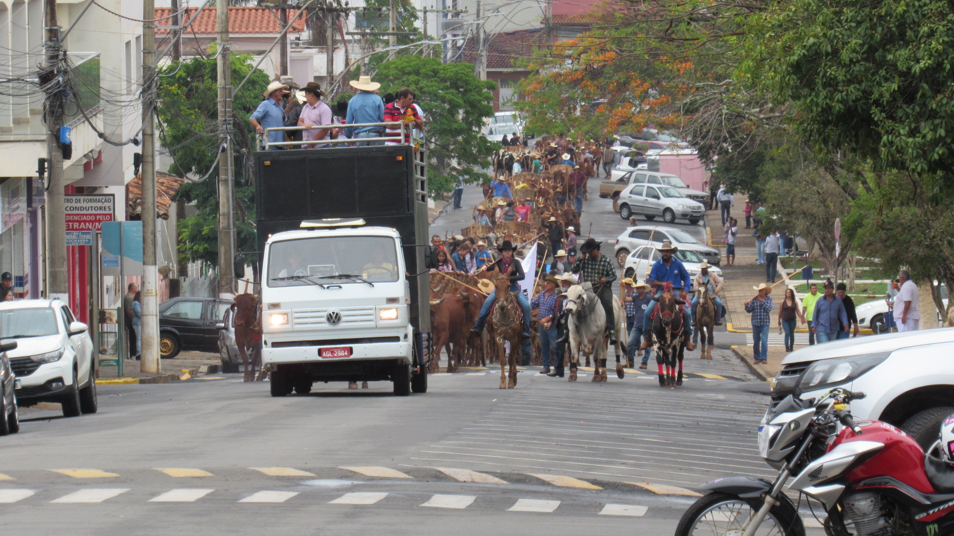 Mais de 50 carros de boi participaram do desfile em Monte Belo MG